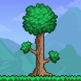 Terraria